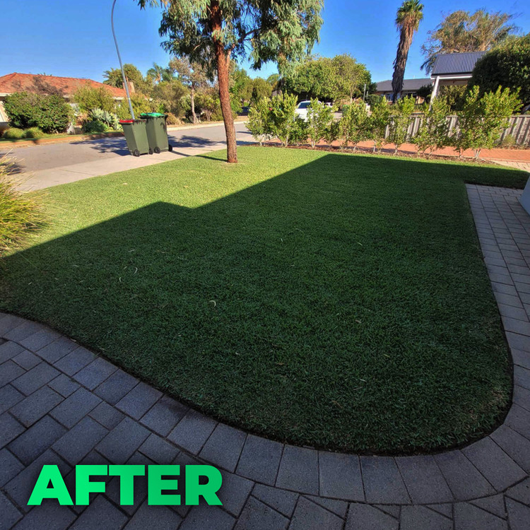 Lawn after treatment