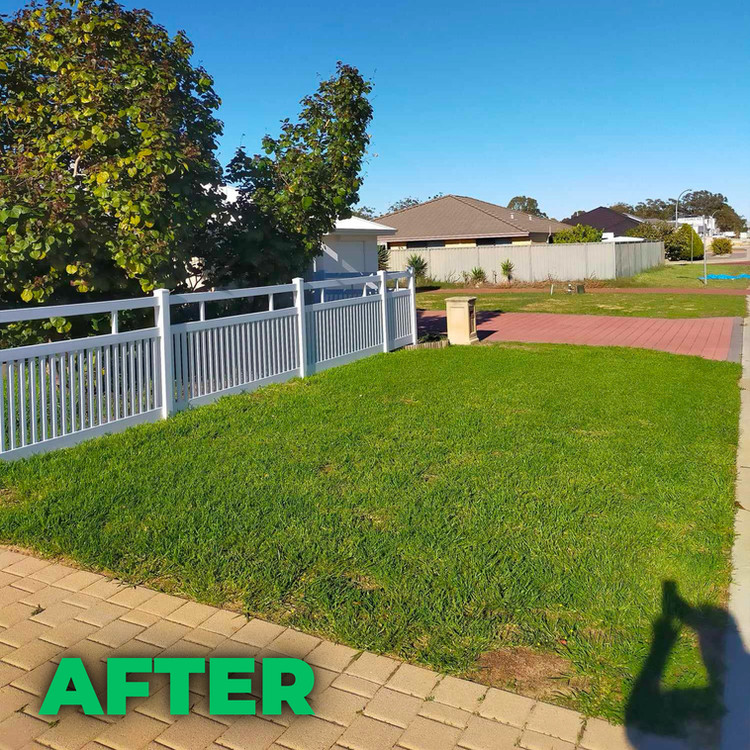 Lawn after treatment