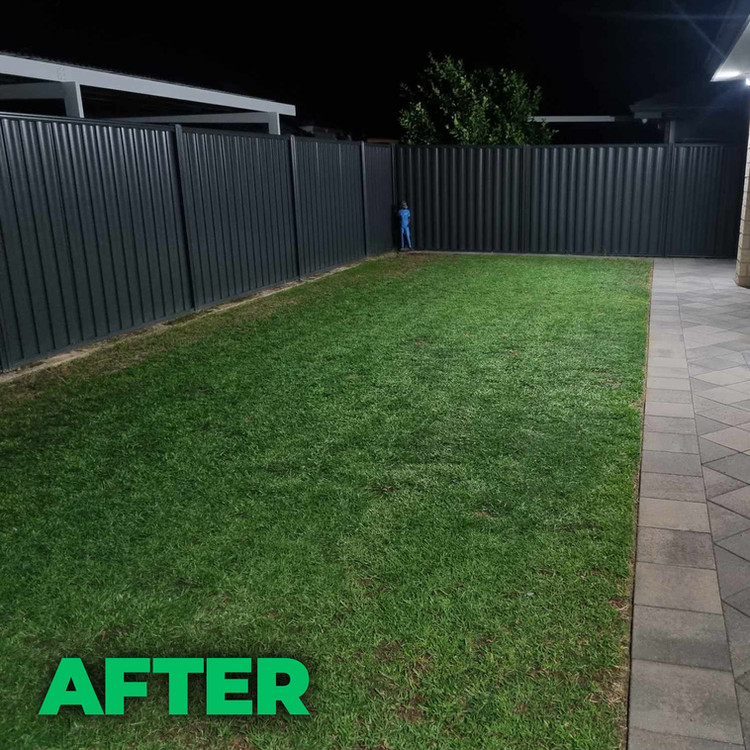 Lawn after treatment
