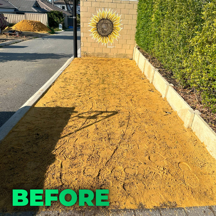 Lawn before treatment