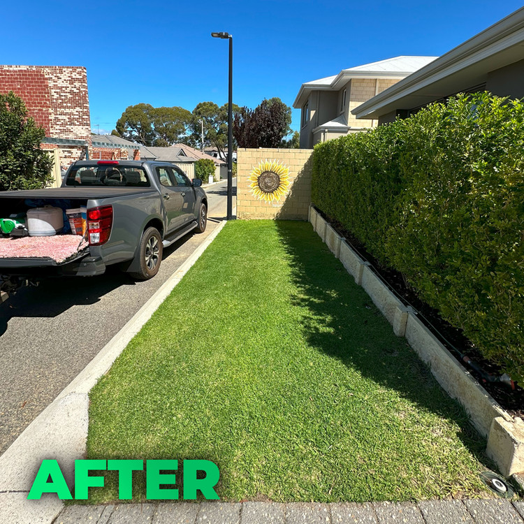Lawn after treatment