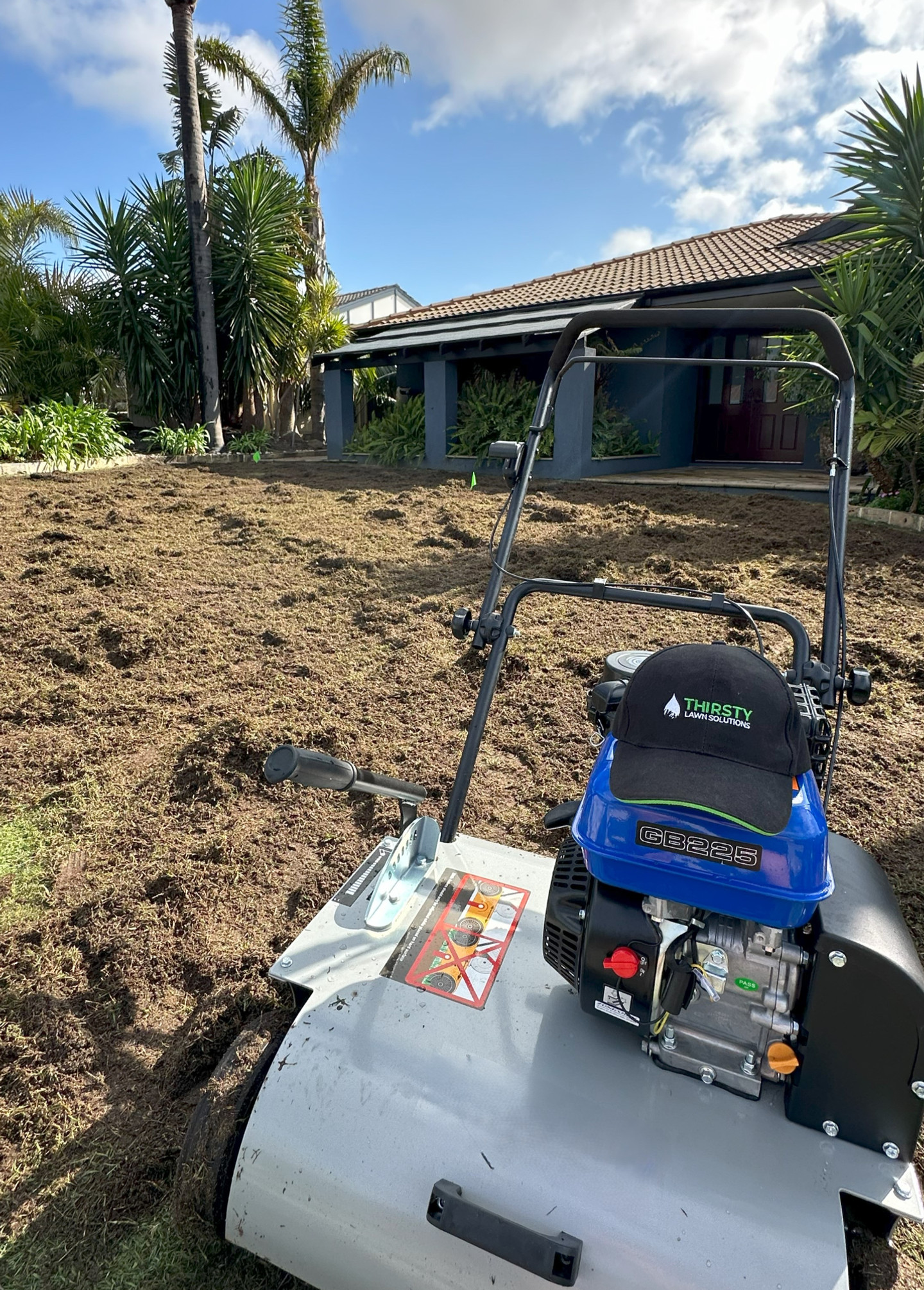 Lawn renovation in progress