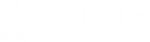 Thirsty Lawn Solutions