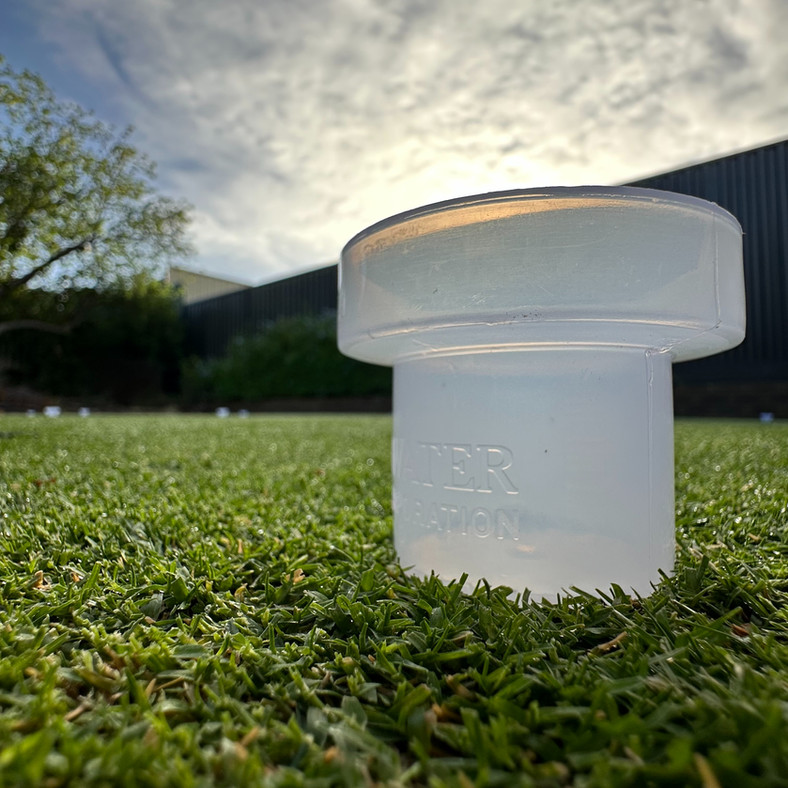 New Turf in Perth: How to Get It Through Its First Summer