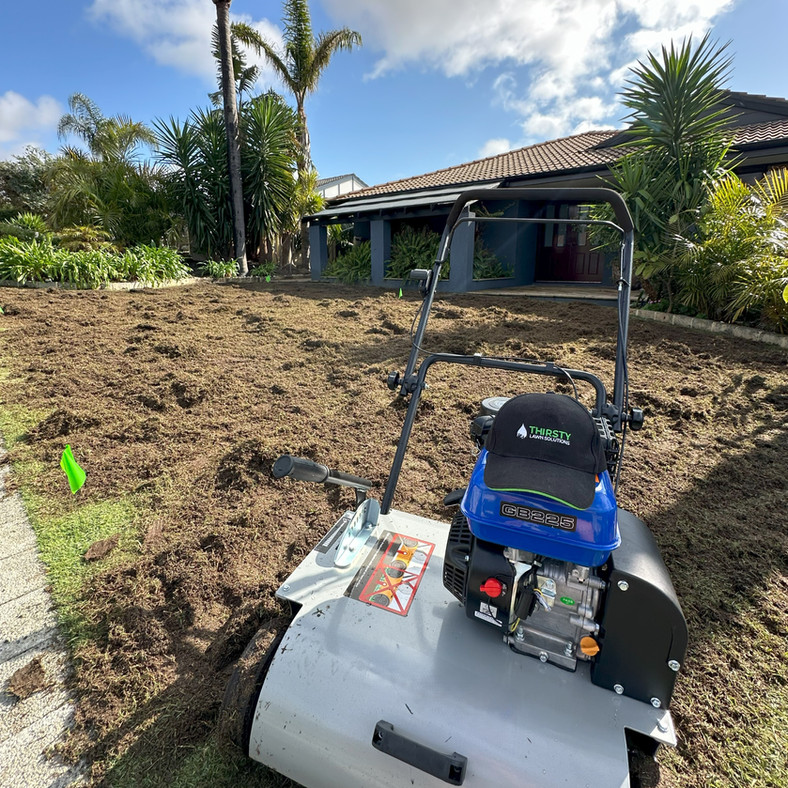 Verti-Mowing in Perth: What It Is, When to Do It and What to Expect