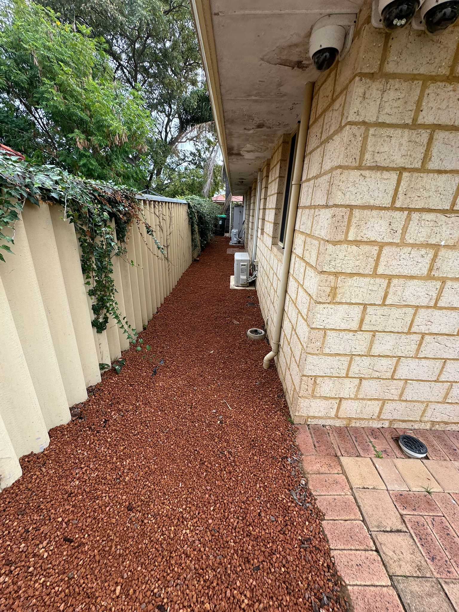 Narrow side yard finished in decorative gravel, with a paver path and climbing plants on the fence
