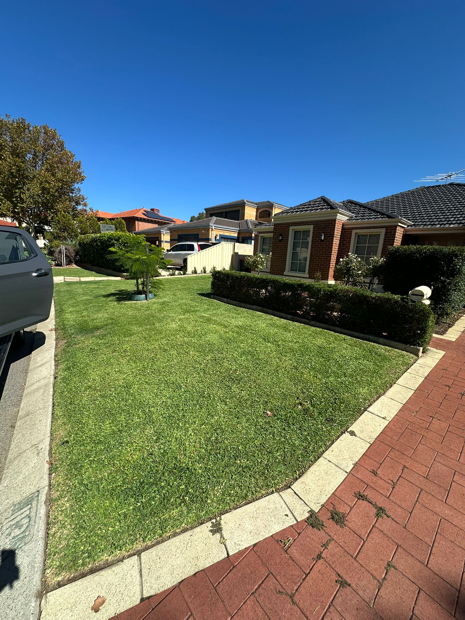 Trimmed hedge and tidied front lawn